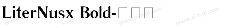 LiterNusx Bold字体转换